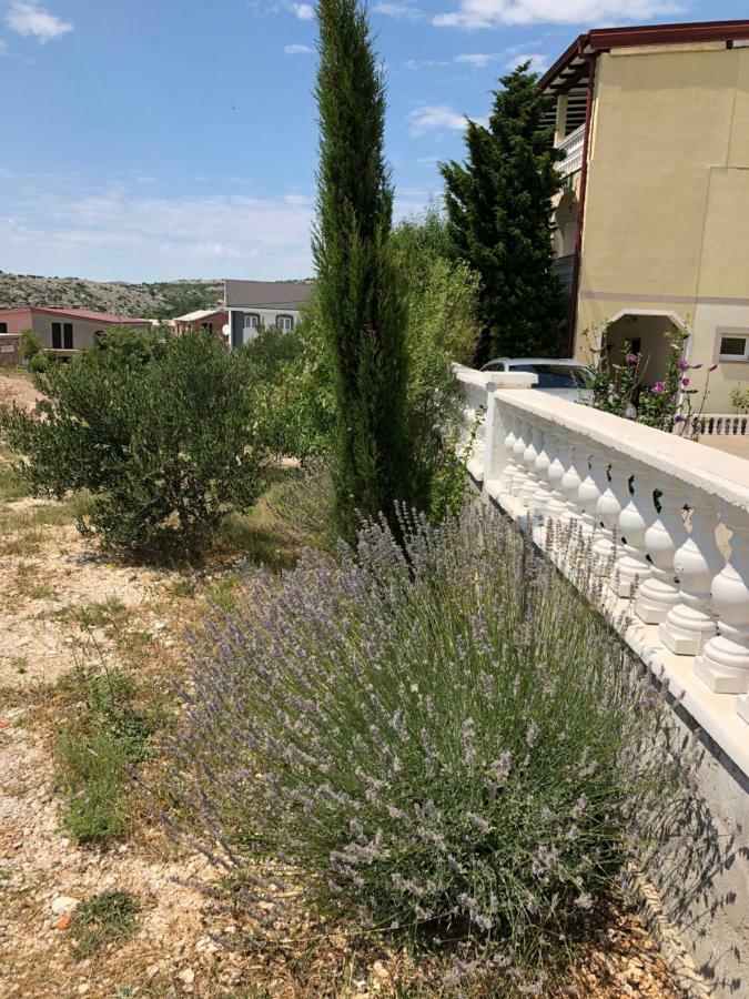 Apartmani Gabi Cesarica Bagian luar foto
